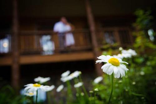 The Fern Lodgeにある庭