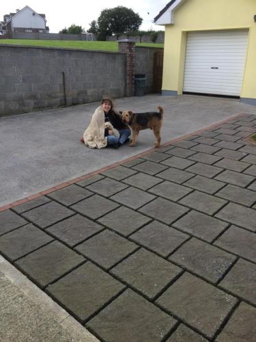 une femme assise à terre avec un chien dans l'établissement Fealys, à Ennis