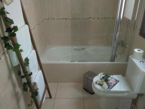a bathroom with a shower and a toilet and a sink at Casa Mararía in Gran Tarajal