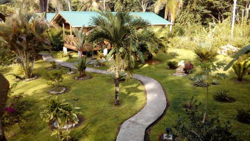 a garden with palm trees and a walkway at J and H Garden Cabinas in Bocas del Toro