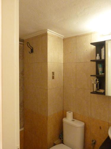 a bathroom with a toilet and a shower at Homely Spacious Studio in Chalkida