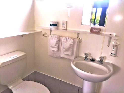 małą łazienkę z toaletą i umywalką w obiekcie Accolade Lodge Motel w mieście Rotorua