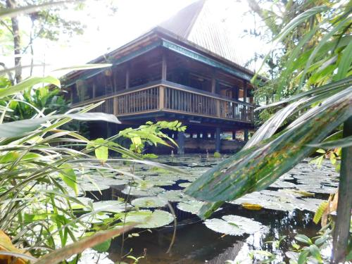 Jardín al aire libre en Rainforest Eco Lodge