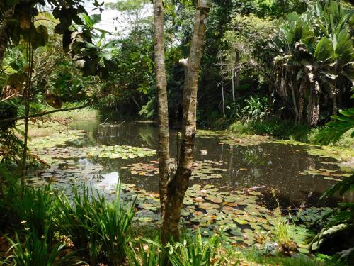 Paisaje cerca de este resort