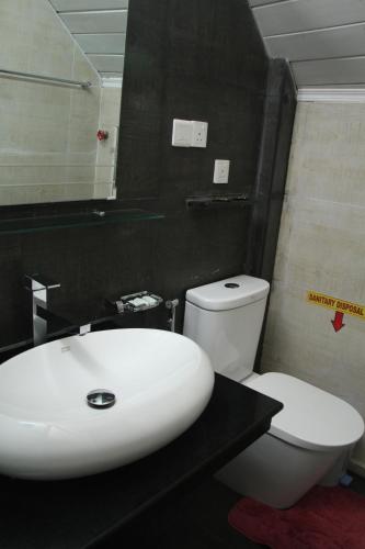a bathroom with a white sink and a toilet at Misty Paradise of Lake Gregory in Nuwara Eliya