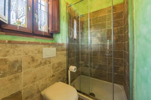 a bathroom with a toilet and a glass shower at Agriturismo Borghetto Il Montino in Rapolano Terme