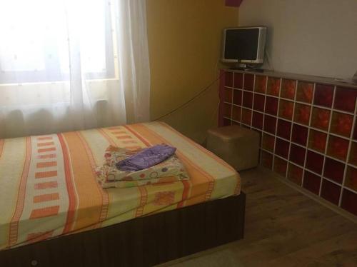 a bedroom with a bed and a tv on the wall at Pensiunea Cascada in Comăneşti