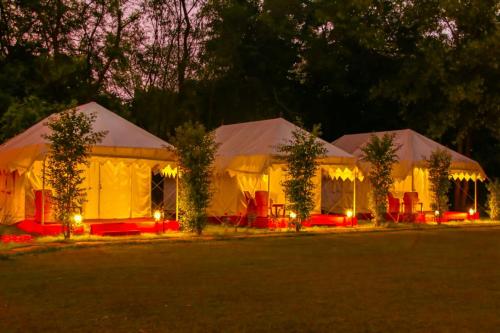 Zahrada ubytování Jungle View Resort Ranthambhore