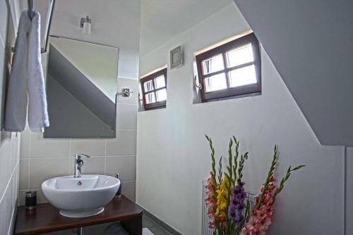 a bathroom with a sink and a window at Villa Rozmaryn & Gourmet in Mariánské Lázně