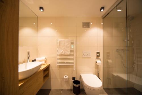 a bathroom with a sink and a toilet and a shower at Landhaus Maria Grün B&B in Feldkirch