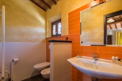 a bathroom with a sink and a toilet and a mirror at Agriturismo Borghetto Il Montino in Rapolano Terme