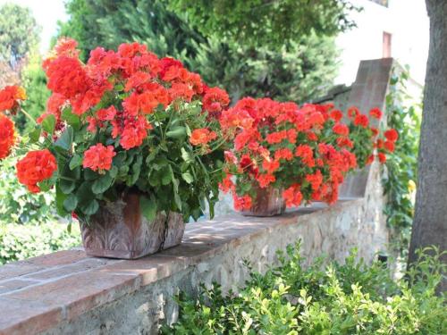 two pots of red flowers on a stone wall at Capannori Stylish Townhouse in Castelvecchio