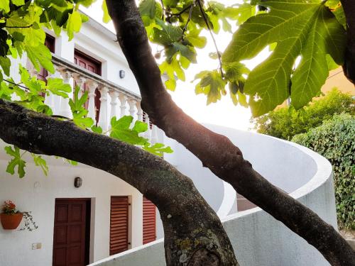 Apartman Simunic Omisalj