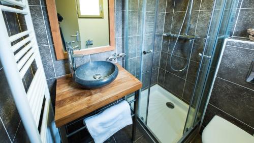 un bagno con lavandino e doccia di Cottage "Les GALETS" face au Lac de la forêt d'Orient - Les Cottages du Belvédère a Mesnil-Saint-Père