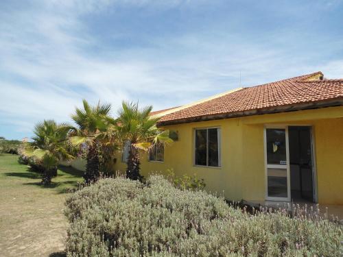 a yellow house with palm trees in front of it at Complejo Turistico Anaconda Hotel in La Paloma