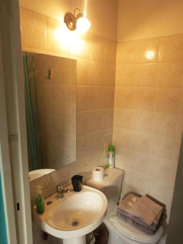 a bathroom with a sink and a toilet and a mirror at La Casa De La Abuela Departamentos in El Bolsón