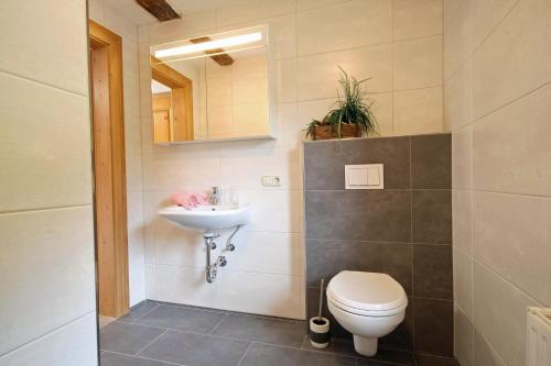 ein Bad mit einem WC und einem Waschbecken in der Unterkunft Almliesl MITT-581 in Mittersill