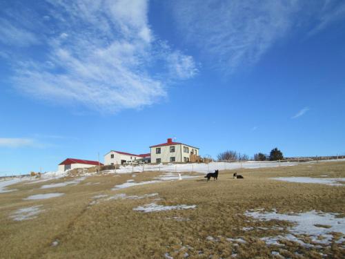 Photo de la galerie de l'établissement Grásteinn Guesthouse, à Þórshöfn