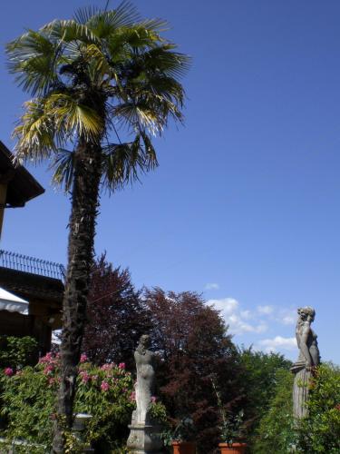Il Gelsomino – Photos 2