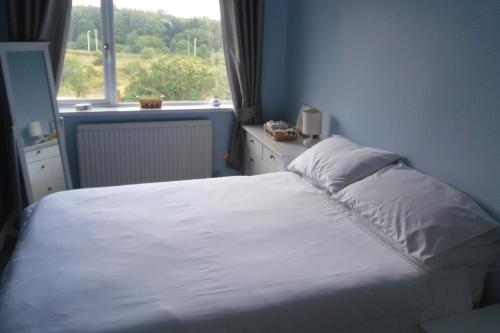 a bedroom with a white bed with a window at Princetown Cottage in Nant-y-bwch