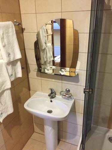 La salle de bains est pourvue d'un lavabo et d'une douche. dans l'établissement Podilskii Dvir, à Yakushintsy