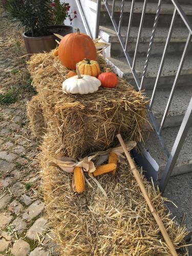 Imagen de la galería de B&B Bären, en Rüeggisberg