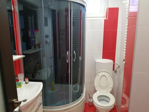 ピアトラ・ネアムツにあるApartament Confortのバスルーム(シャワー、トイレ、シンク付)