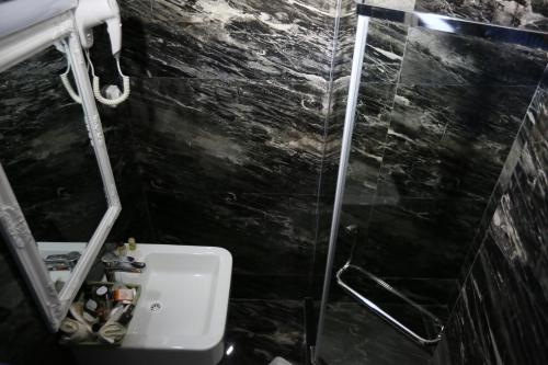 a bathroom with a sink and a glass shower at Hotel Pejton in Pristina