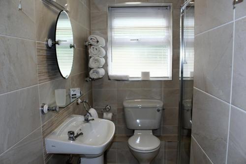 a bathroom with a toilet and a sink and a mirror at Wild Atlantic Accommodation 68 Burnside Park in Letterkenny