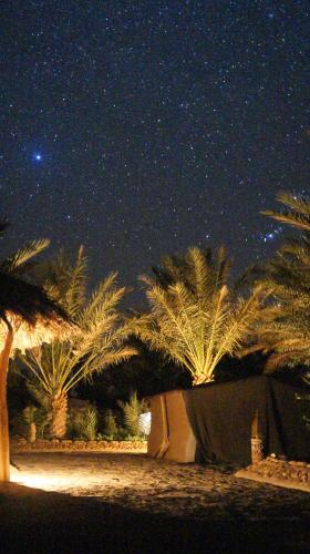 a starry night with palm trees and a building at Serdrar Camp in Timganine