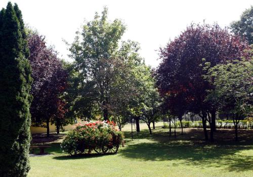 Jardín al aire libre en Nyerges Hotel Termál Superior