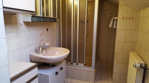 a bathroom with a sink and a shower at Haus Jägersruh in Nagel