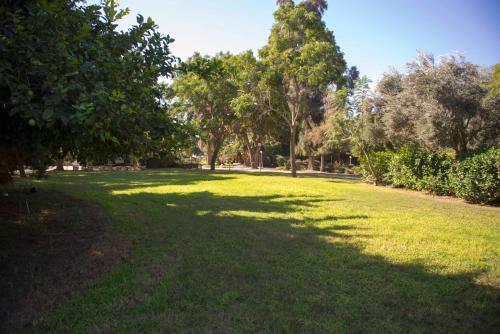 Zahrada ubytování Gvulot - Kibbutz experience