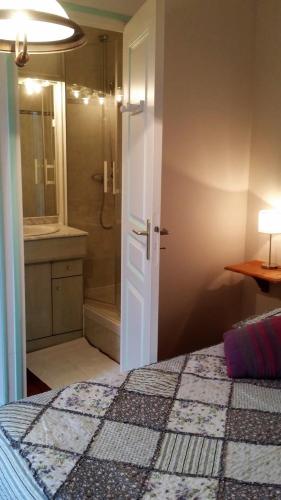 - une chambre avec un lit, une douche et une salle de bains dans l'établissement Chambres D'hôtes Anne-Marie, à Châtillon-sur-Indre