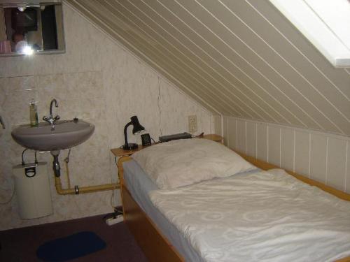 1 dormitorio con cama y lavamanos en Zimmervermietung-Heide-Fiege en Hartmannsdorf