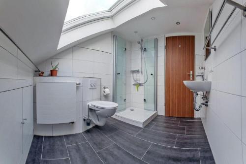 La salle de bains est pourvue de toilettes, d'un lavabo et d'une douche. dans l'établissement Ferienwohnung Haus Staffelbergblick, à Bad Staffelstein