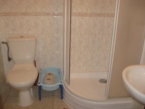W łazience znajduje się prysznic, toaleta i umywalka. w obiekcie Penzión Slávia w Popradzie