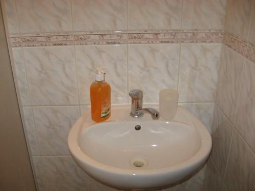a bathroom sink with a bottle of soap on it at Penzión Slávia in Poprad