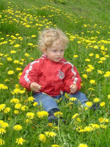 Niños alojados en Almhotel Fichtenheim