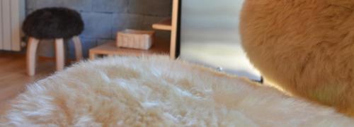 a close up of a stuffed animal in a room at Amarras in Villa Pehuenia