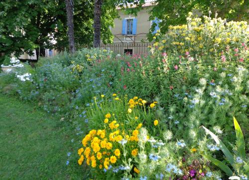 Domaine Les Rivales – Photos 2