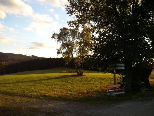 a park bench sitting under a tree in a field at Pension Haus Seidenweber in Schmallenberg