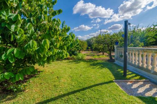 a garden with a white fence and trees at Can Rius in Muro
