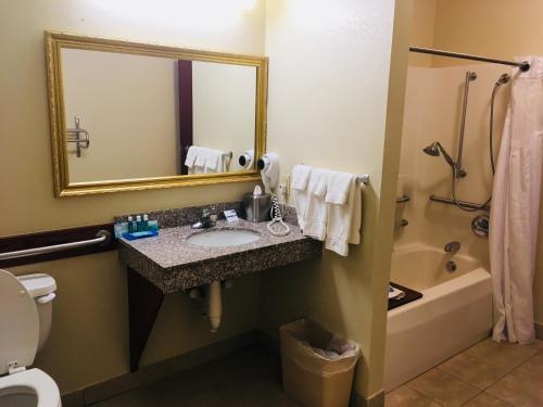 a bathroom with a sink and a mirror and a tub at Holiday Inn Express Hotel & Suites Cadillac, an IHG Hotel in Cadillac