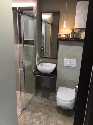 a bathroom with a shower and a toilet and a sink at Apartment Nevena 3 in Belgrade