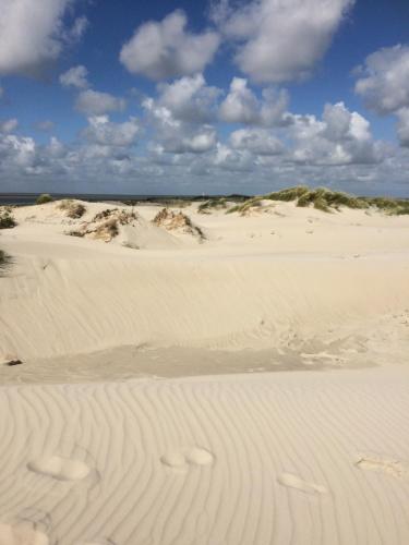 a beach with sand dunes and the ocean in the background at Ferienwohnanlage Sturmhöhe in Welt