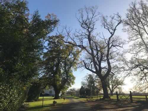 a group of trees in a park with a road at Leixlip Manor Hotel in Leixlip