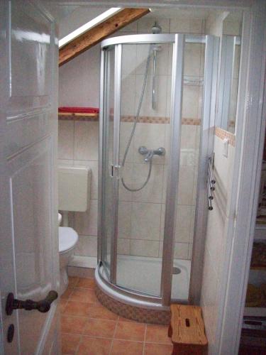 een badkamer met een douche en een toilet bij Ferienwohnung Sperlingslust in Schleswig