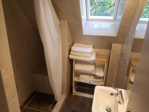 un piccolo bagno con lavandino e asciugamani di Apartment am Park a Lehrte