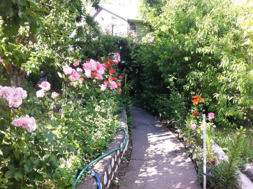 a garden with pink flowers and a pathway at Cabaña Quillón El Campito in Quillón